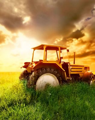 農(nóng)業(yè)領(lǐng)域